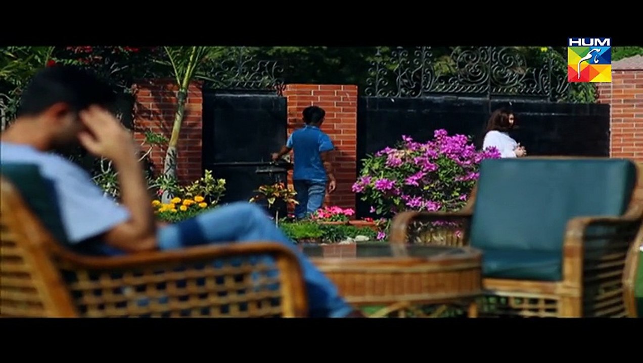 Dil Ka Kya Rung Karun Episode 15 HUM TV Drama 12 June 2015