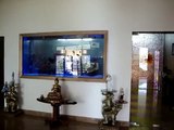 Aquarium Design India Chennai Marine Aquarium Designed By Jabbar  Cell: 9840 71 74 97