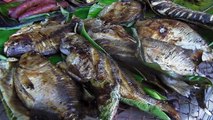 Amazon fish cooked jungle style