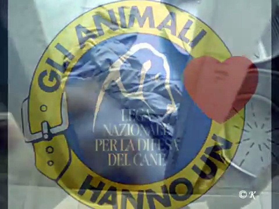 Fai la sorpresa di Pasqua, regala un cane. Adottalo! Lega del cane sez Mi.