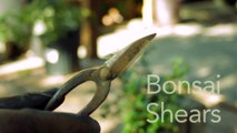 Garden Tool Guides : How to Use Bonsai Shears