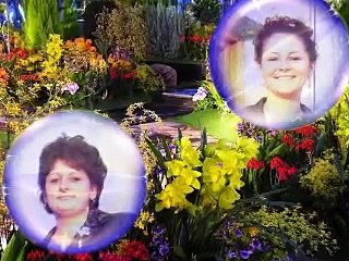 Irina Loghin am baiat si fata