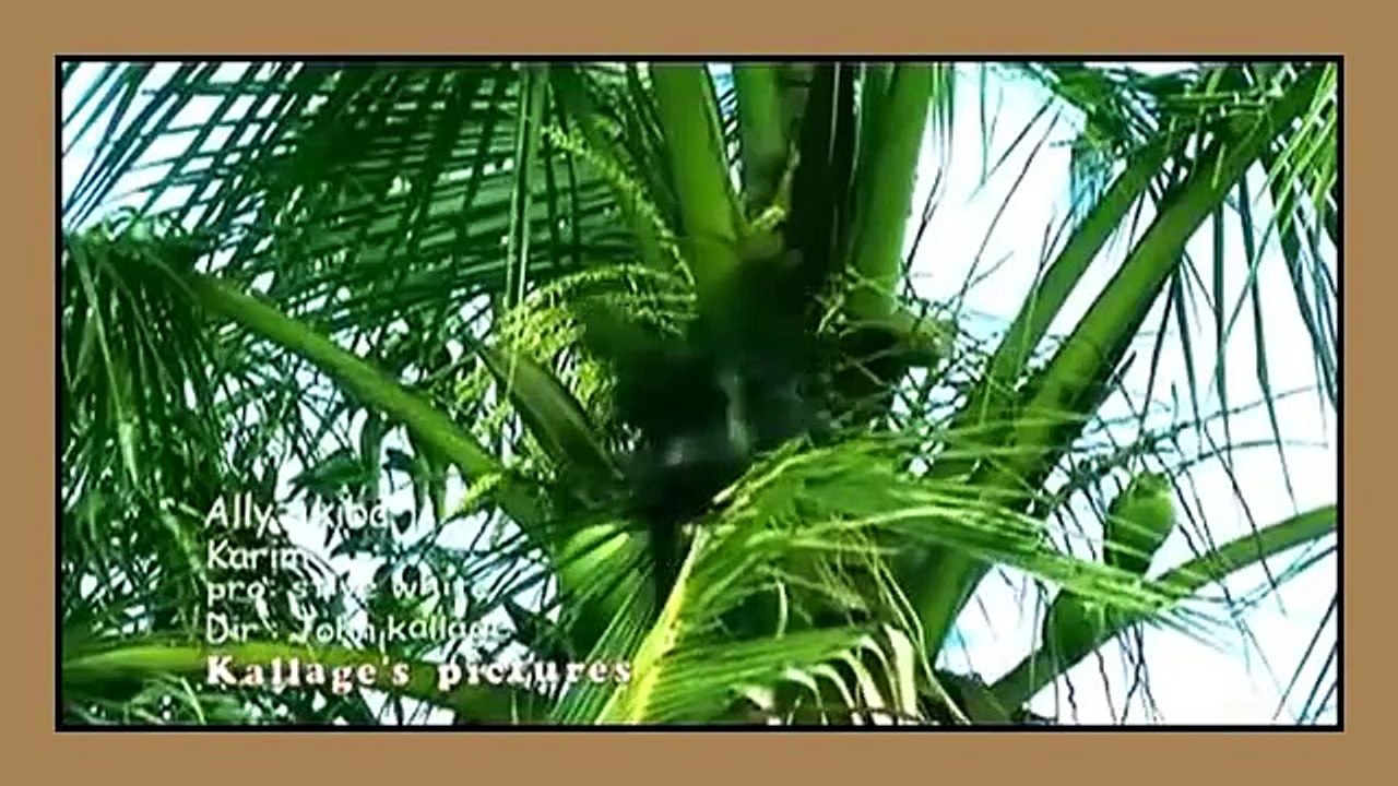 Tanzania - Ally Kiba - Karim