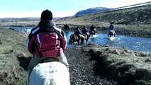 Riding Icelandic Horses at Laxnes Horse Farm