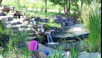 Rudolf Steiner College: Educating to Change the World