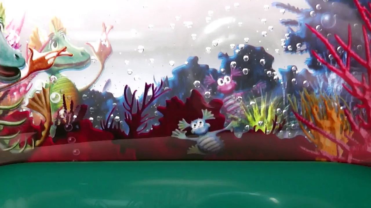 Aqua Dragons - Day 3