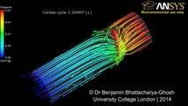 Coupling of  3D CFD Models to 0D Models of Complex Multi-Scale Boundary Conditions