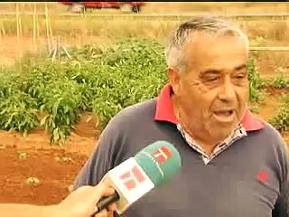 "HUERTOS DE OCIO" PARA JUBILADOS