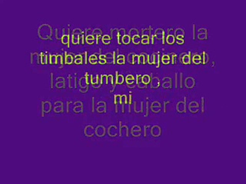 La Mujer Del Carnicero letra