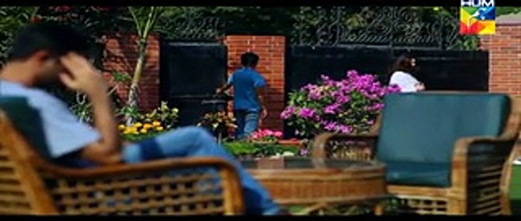 Dil Ka Kya Rung Karun Episode 15 Full  on Hum Tv- 12th June 2015