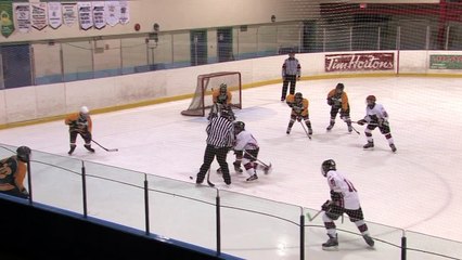 Pee wee hockey fights