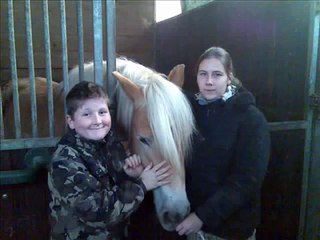 der beste Haflinger der Welt