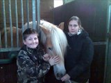der beste Haflinger der Welt