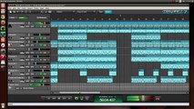 Piano/Orchestral Instrumental Song - Mixcraft Pro 7/ Ubuntu 14.04 LTS