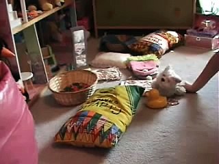 Webkinz Sleepover Supreme!