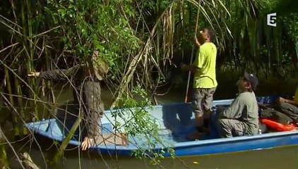 Face aux serpents tueurs.