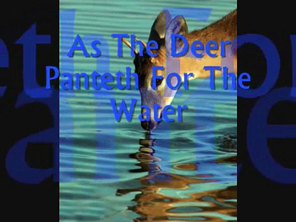 As The Deer Panteth For The Water - video Dailymotion