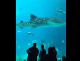 Luis Chataing le envió un mensaje a sus oyentes desde acuario en Atlanta