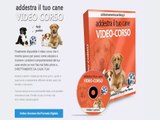 Cane Pro - Video Lezioni Per Educare Il Cane In Casa