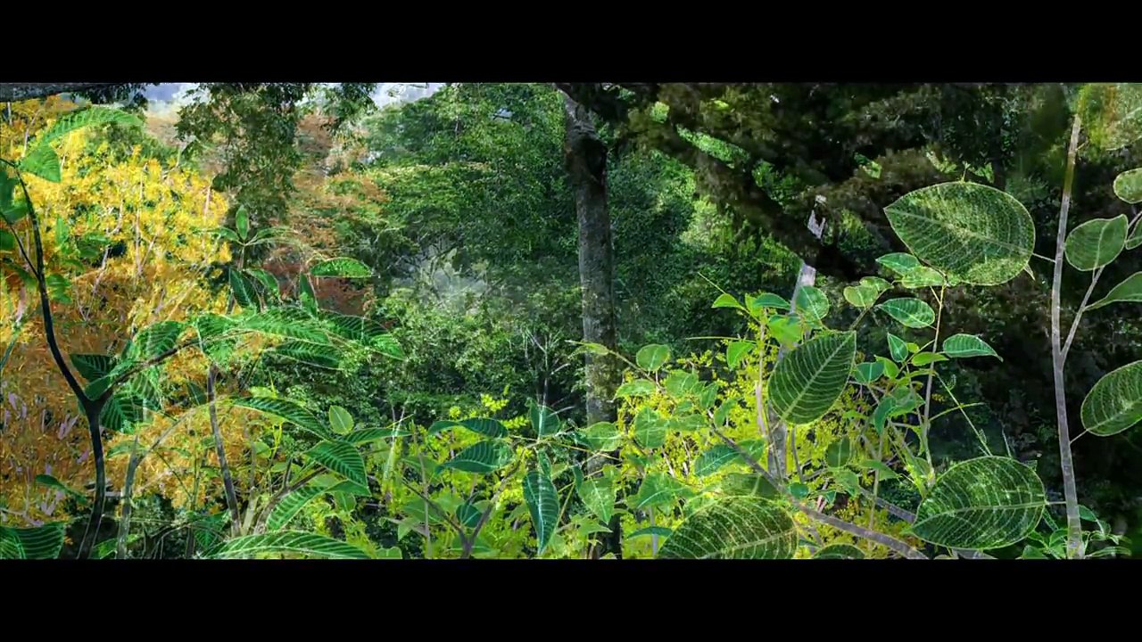 IL ETAIT UNE FORET - un film de Luc Jacquet - bande-annonce