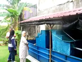 Ternakan Ikan Kelah Didalam Tangki Fiberglass