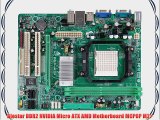 Biostar DDR2 NVIDIA Micro ATX AMD Motherboard MCP6P M2