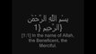 Amazing beautiful Quran recitation (tilawat)