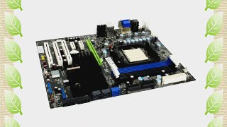 EVGA 113-M2-E113-TR nForce 730a and GeForce 8200 AMD Motherboard