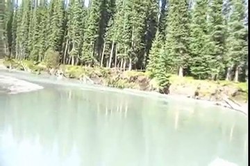 muskwa river jet boat .wmv