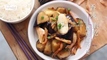 日日煮烹飪短片 - 香辣蝦乾鴛鴦茄子煲 Spicy Dried Shrimp with Dual Eggplants