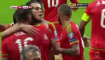 All Goals and Highlights _ Wales 1-0 Belgium 12.06.2015