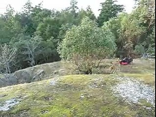 Ocean Bluffs Camping with pup-dog