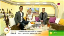 VELUX Sunlighthouse | Das 1. CO2 neutrale Haus Österreichs | Puls4 Reportage - Einzugsevent 2012