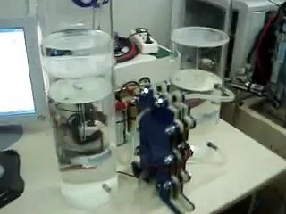 PEM Electrolyser, Fuel Cell 1kW & H2 Storage Tank