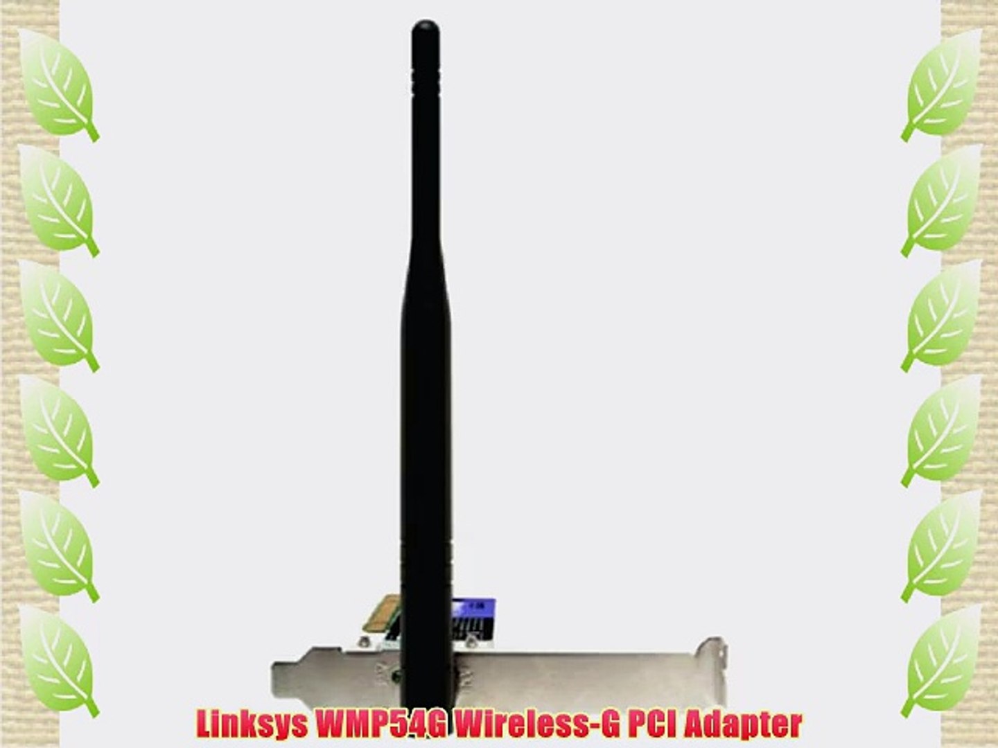 Wmp54g
