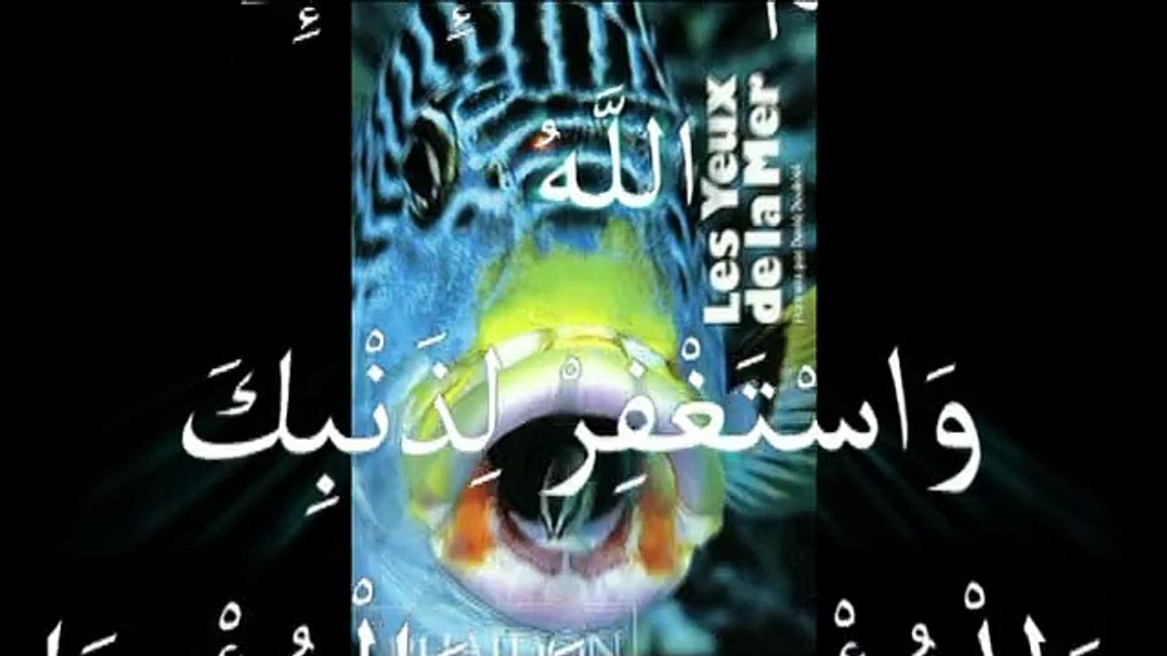 miracles of allah اكتشاف علمى صدم العالم على اليوتيوب هل سيصدمك؟