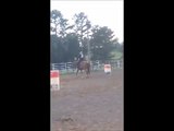 WTS Aristos Peppy - 2011 AQHA Mare for Sale - Cutting Sorting Prospect