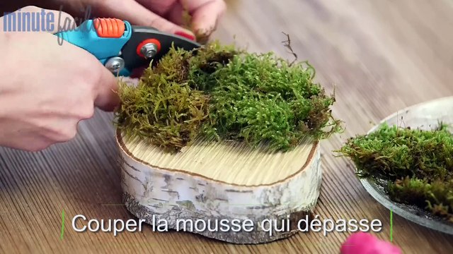 Sports Loisirs : DIY : centres de table fleuris sous cloche