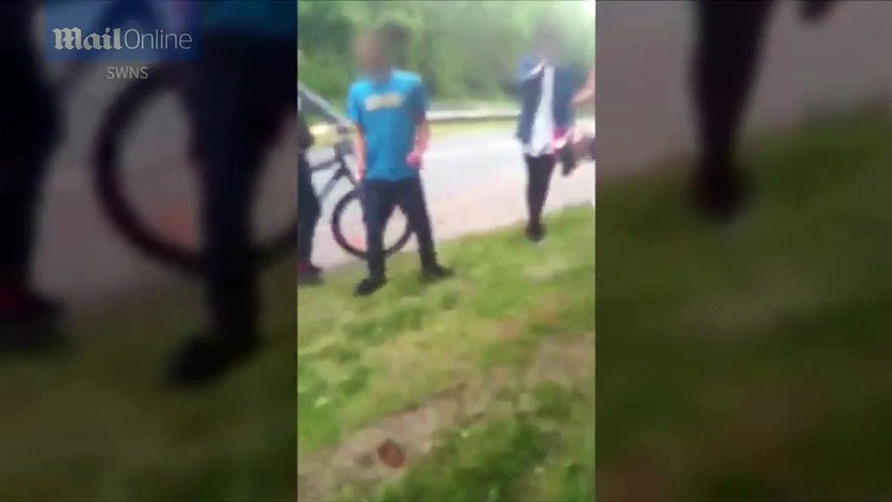 Shocking video shows young boy punched to ground by bully