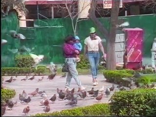 BRONCO - No Tengo Mas Que Esta Cancion