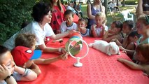 informazione sul coniglio e intrattenimento per bimbi al Podere Ca' Nova