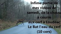 Chasse à courre du Cerfs