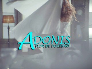 Adonis Flor de Invierno - Lunes 15/06