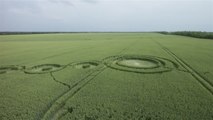Drone captura imagens de círculos misteriosos em plantação na Rússia