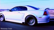 SVT Cobra - Mach 1 - Roush 3 - Mustang GT (Best of 99-04)