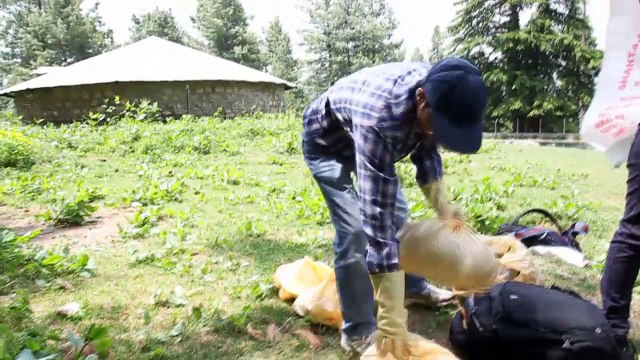 Cleaning Mushkpuri Top