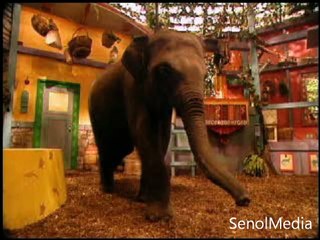 Zoboomafoo - Leapin' Lemurs (PS1)