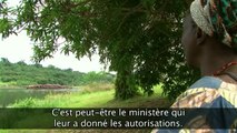 Gabon - Exploitation forestière...