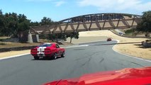 Shelby in Corkscrew @ Laguna Seca