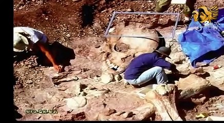 VERDAD DE LOS ESQUELETOS GIGANTES EN LA INDIA OXLACK